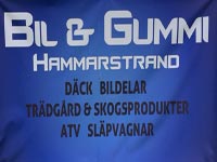 Bil & Gummi Hammarstrand